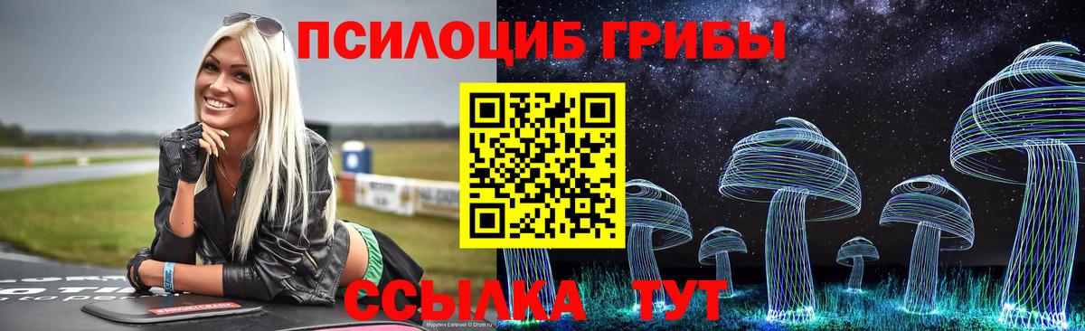 Курчалой  Псилоцибиновые грибы Psilocybe  Галлюциногенные грибы MAGIC MUSHROOMS  Вход с VPN 